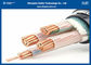 Cáp chống cháy bọc thép / Điện áp cách điện PVC cách điện 0,6 / 1kV (Kích thước: 1,5 ~ 1000mm2