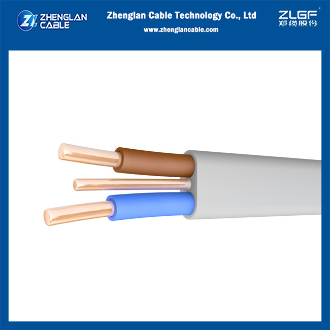 Làm thế nào chúng ta có thể sử dụng Twin&Earth Cable?