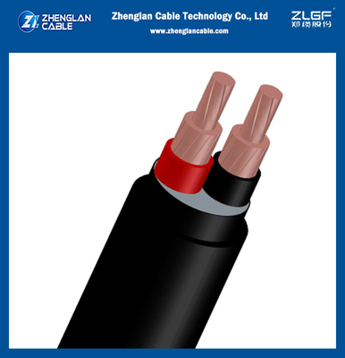0.6/1KV Tăng áp thấp đồng Xlpe cách điệnPVC cọc cáp 2Core cho IEC 60228, IEC 60502-1 (CU / XLPE / PVC)